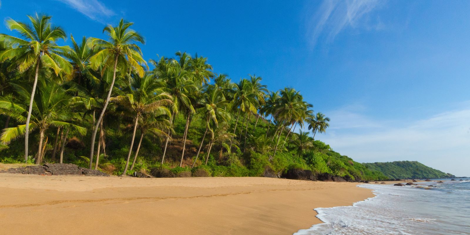 Best Yoga Teacher Training