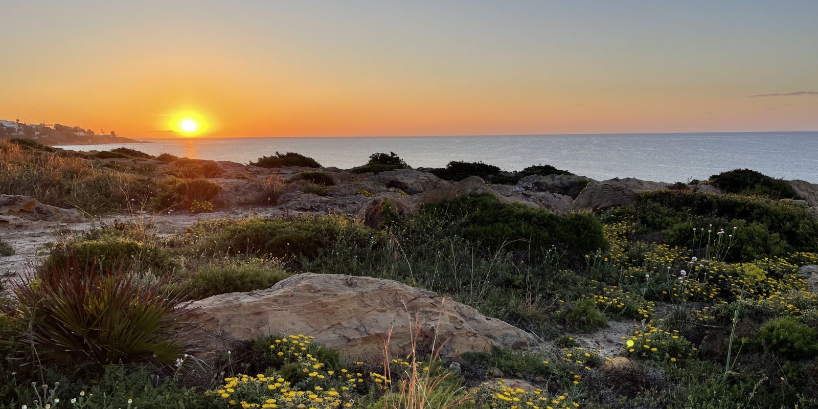 Best Yoga Teacher Training