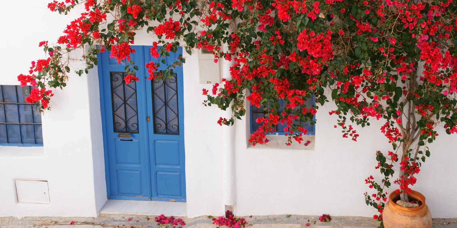 Best Yoga Teacher Training