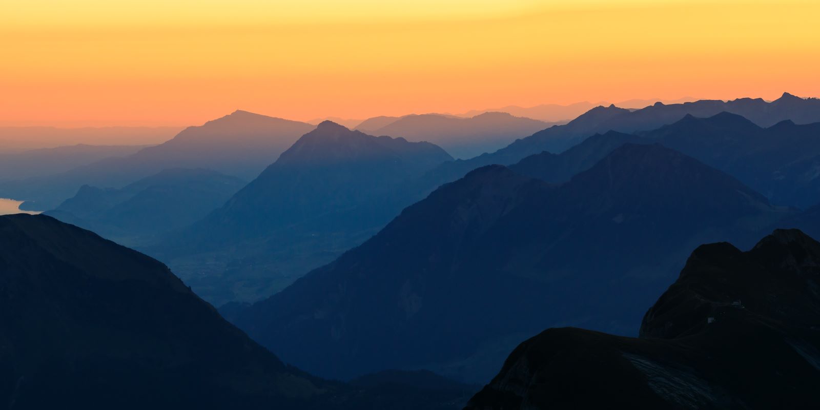 Best Yoga Teacher Training